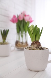 Photo of Potted hyacinth flowers and tulips with bulbs on white wooden table