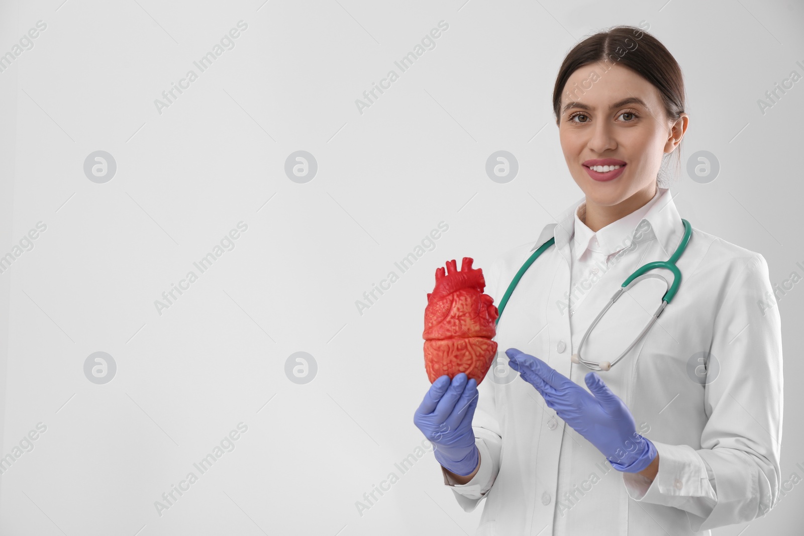 Photo of Doctor with stethoscope and model of heart on white background, space for text. Cardiology concept