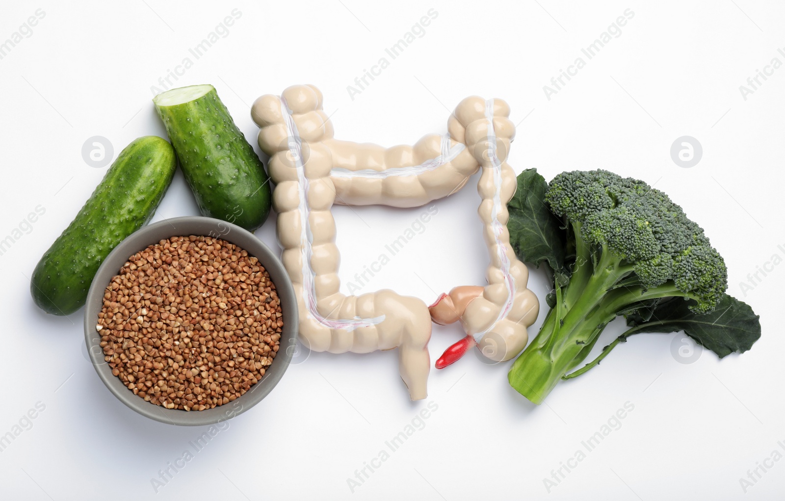 Photo of Intestine model and products to help digestion on white background, top view