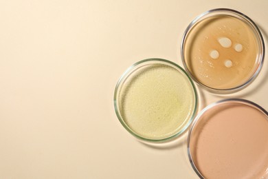 Photo of Petri dishes with color liquids on beige background, flat lay. Space for text