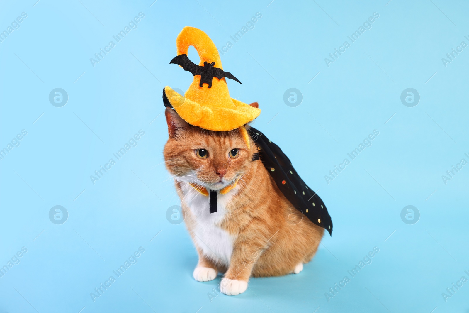 Photo of Cute ginger cat wearing cloak and hat on light blue background. Halloween celebration