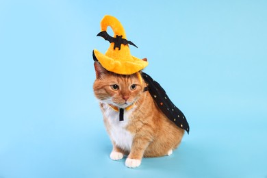 Cute ginger cat wearing cloak and hat on light blue background. Halloween celebration