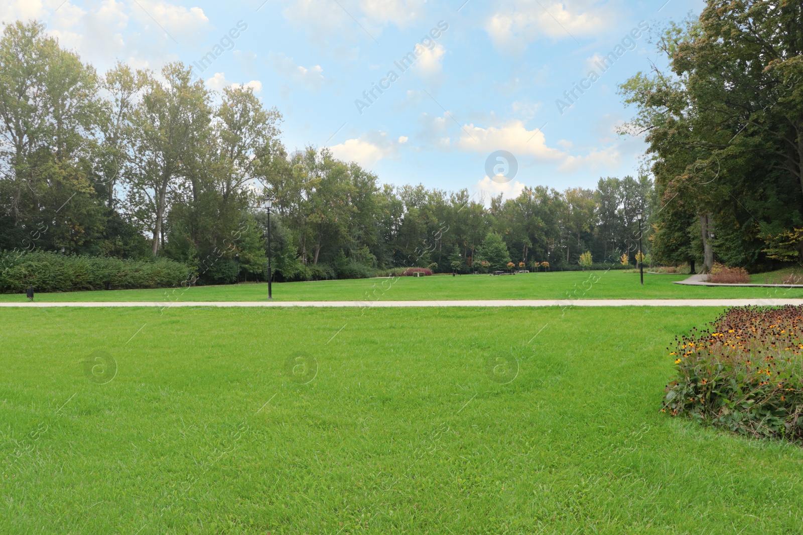 Photo of Beautiful public city park with pathway and green grass