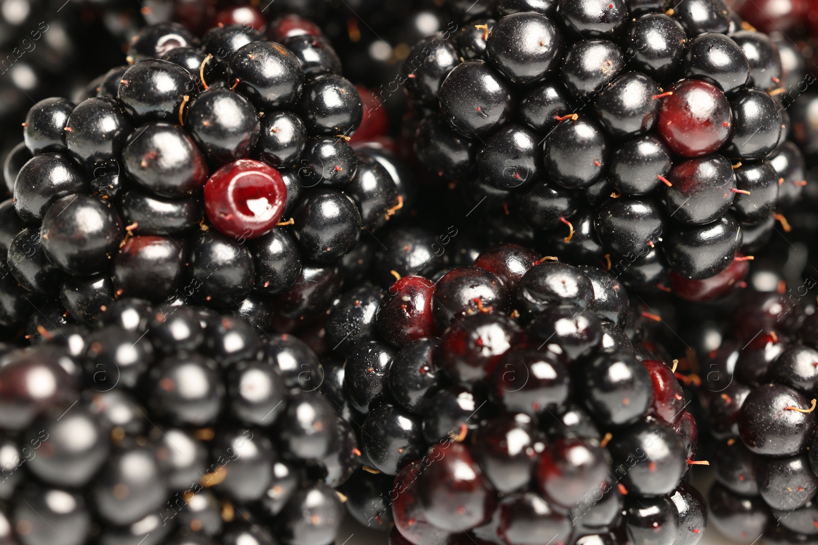 Photo of Many tasty ripe blackberries as background ,closeup