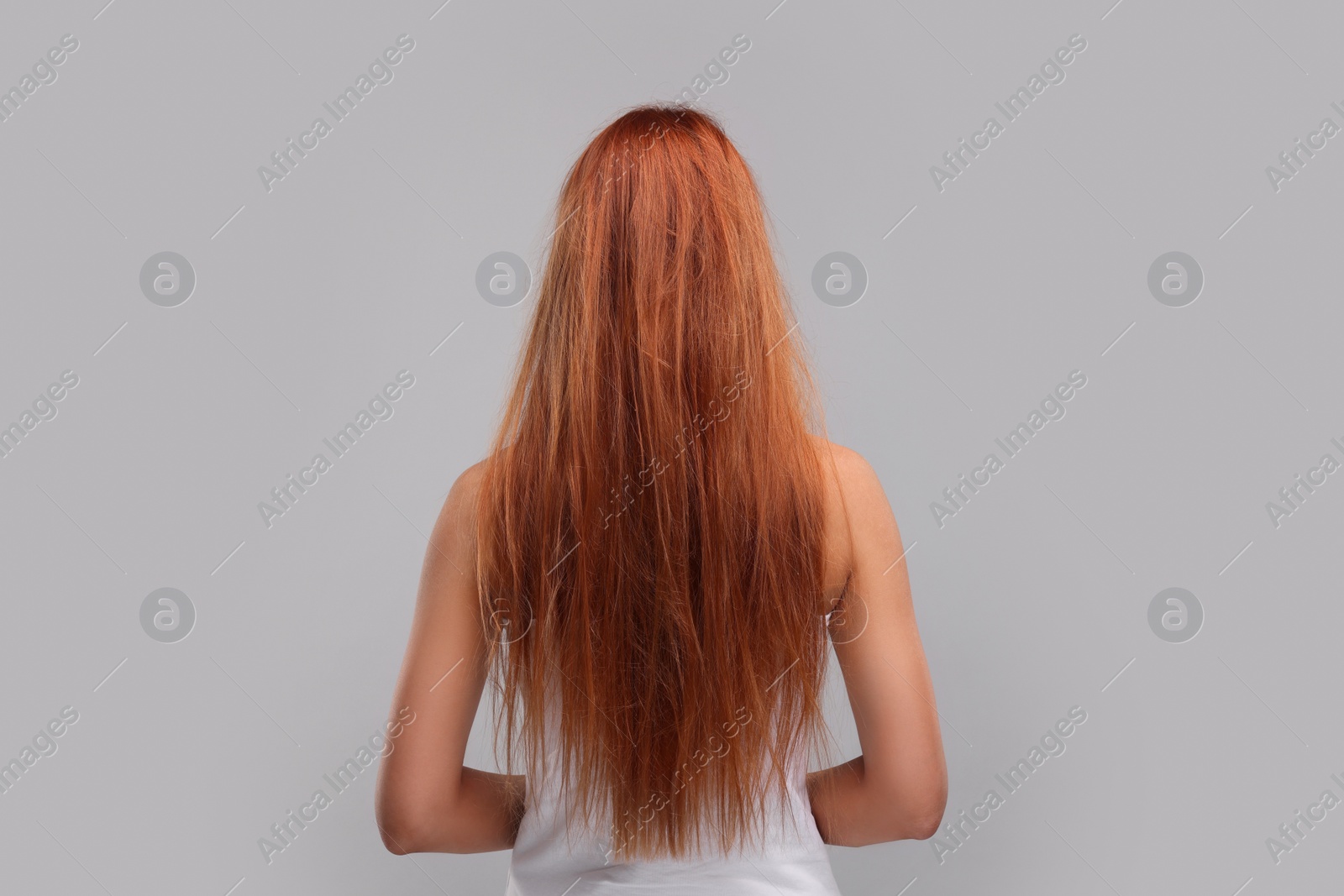 Photo of Woman with damaged messy hair on light grey background, back view