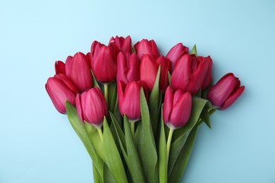 Many beautiful tulips on light blue background, flat lay