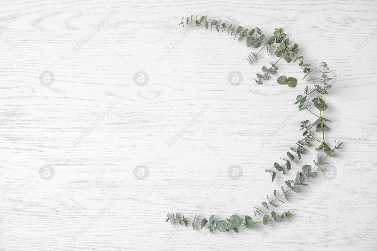 Photo of Flat lay composition with fresh eucalyptus leaves and space for design on white wooden background