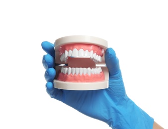 Photo of Dentist holding educational model of oral cavity with teeth on white background