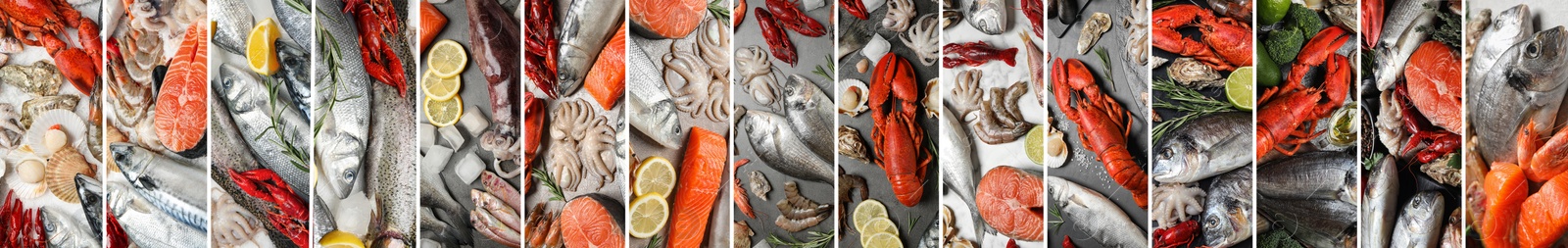 Image of Collage with various fresh fishes and seafood. Banner design 