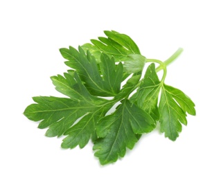 Leaves of fresh tasty parsley on white background