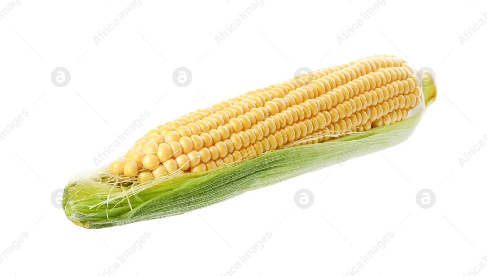 Photo of Ripe corn cob with husk isolated on white