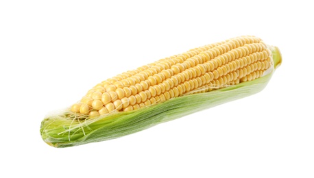 Photo of Ripe corn cob with husk isolated on white