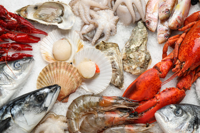 Fresh fish and seafood on ice, flat lay