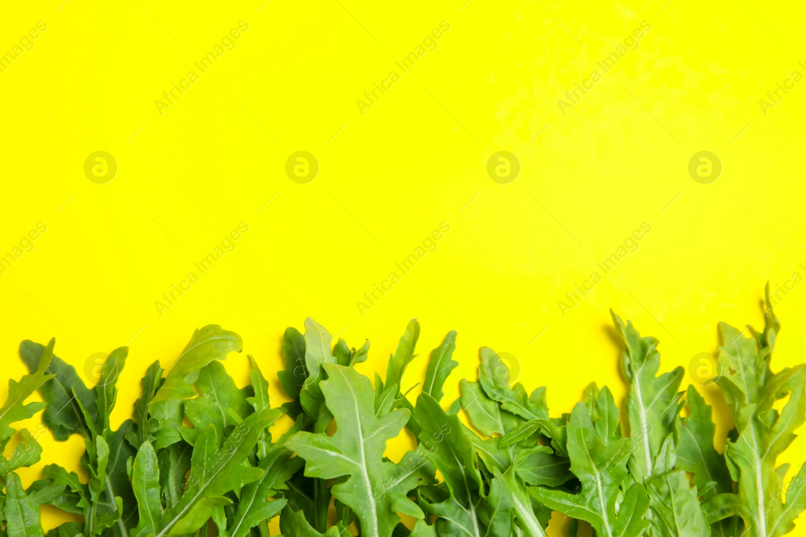 Photo of Fresh arugula on yellow background, flat lay. Space for text