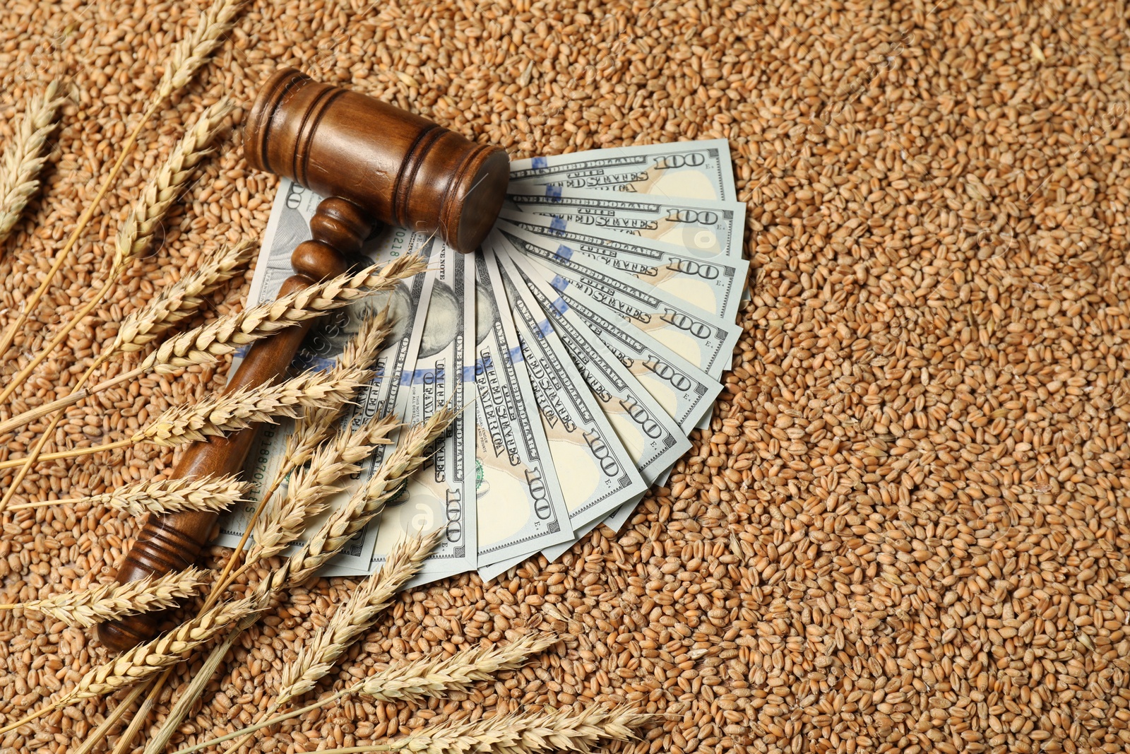 Photo of Agricultural business. Dollar banknotes, wooden gavel and wheat ears on grains, top view. Space for text