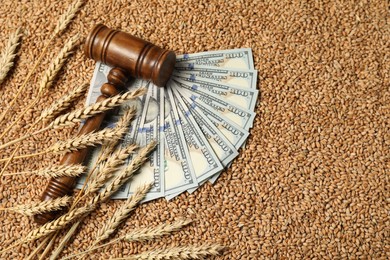 Agricultural business. Dollar banknotes, wooden gavel and wheat ears on grains, top view. Space for text