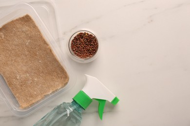 Microgreens growing kit. Daikon radish seeds, mat, container and spray bottle on white marble table, flat lay. Space for text