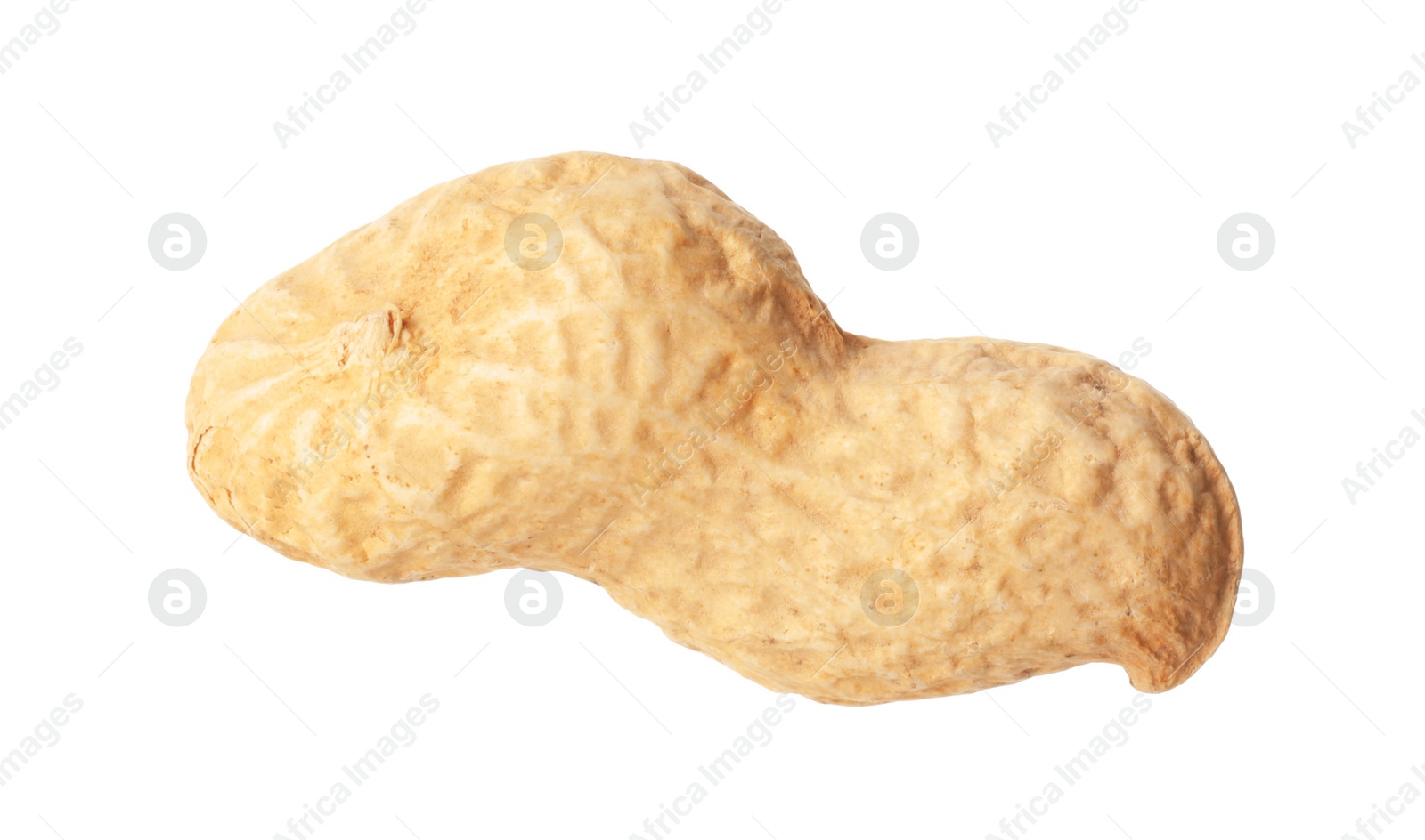 Photo of One fresh unpeeled peanut isolated on white