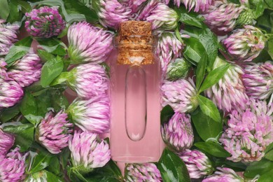 Photo of Beautiful clover flowers and bottle of essential oil in water, top view