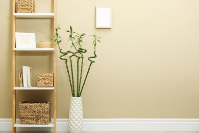 Photo of Vase with green bamboo stems and decorative ladder near beige wall in room, space for text. Interior design