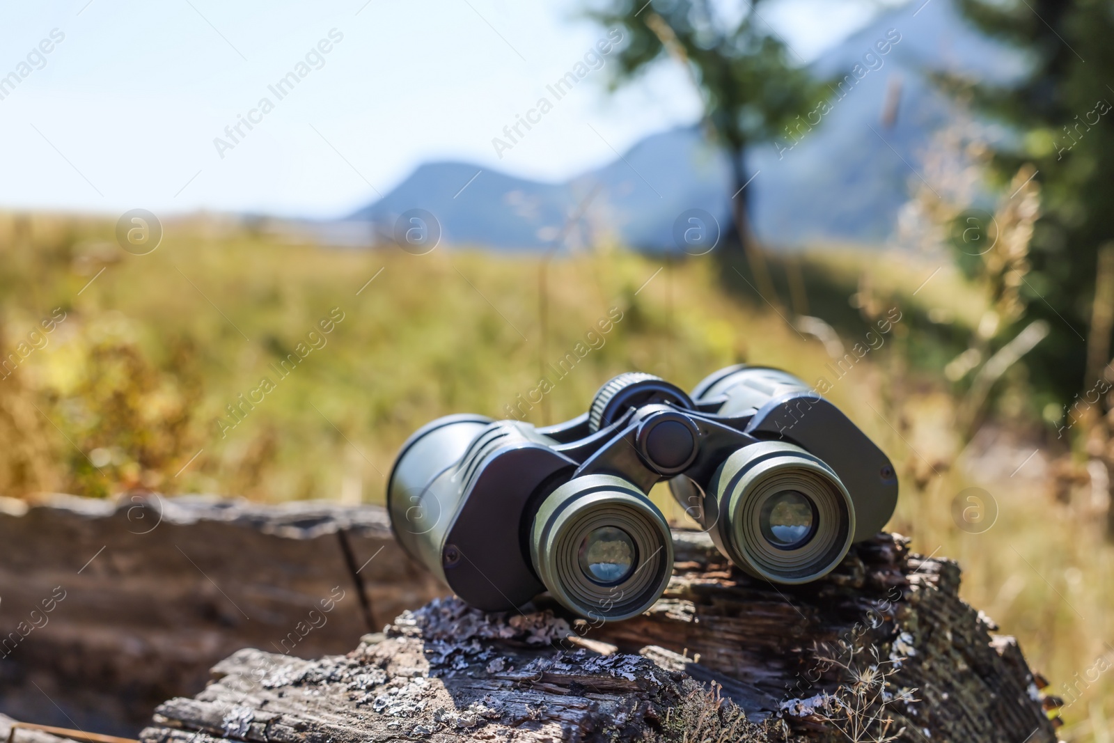 Photo of Modern binoculars on wooden surface outdoors. Camping equipment