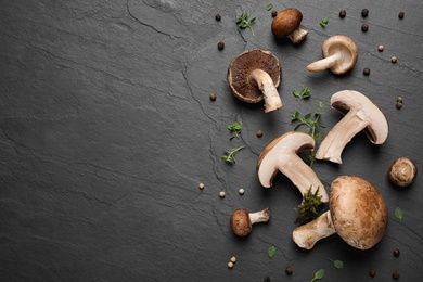 Flat lay composition with fresh wild mushrooms on black table, space for text