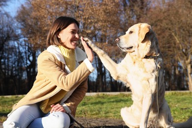 Photo of Adorable Labrador Retriever giving paw to beautiful woman on sunny day outdoors