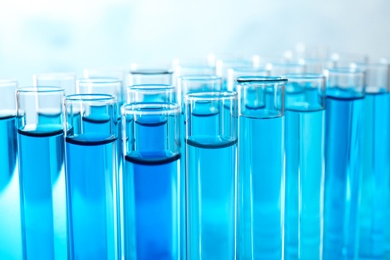 Photo of Many test tubes with blue liquid, closeup