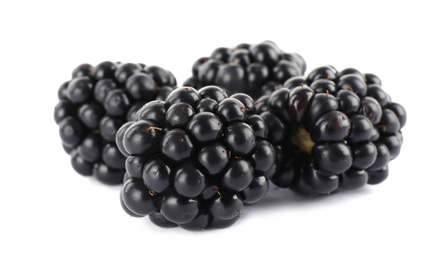 Beautiful tasty ripe blackberries on white background