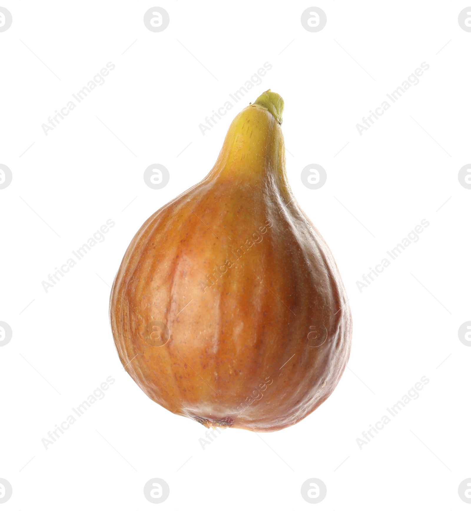 Photo of Whole tasty ripe fig isolated on white