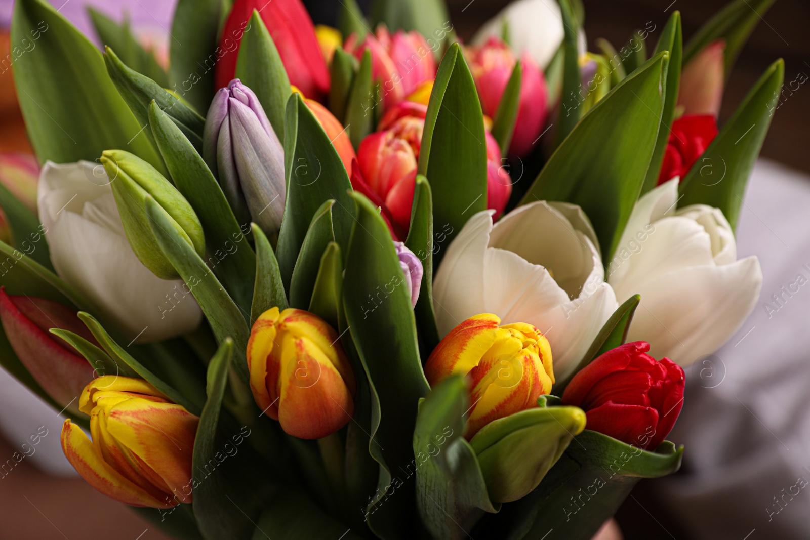 Photo of Beautiful bouquet of colorful tulip flowers, closeup