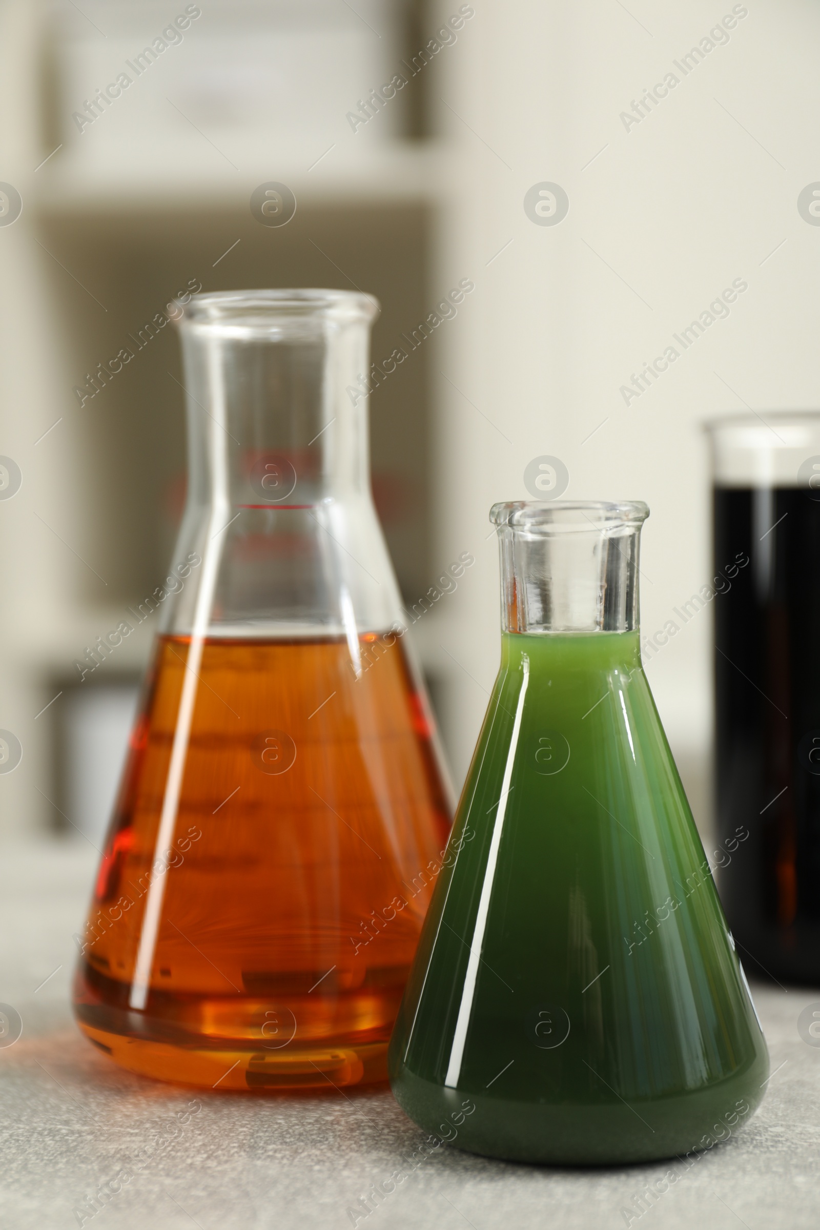 Photo of Flasks with different types of crude oil on light grey table