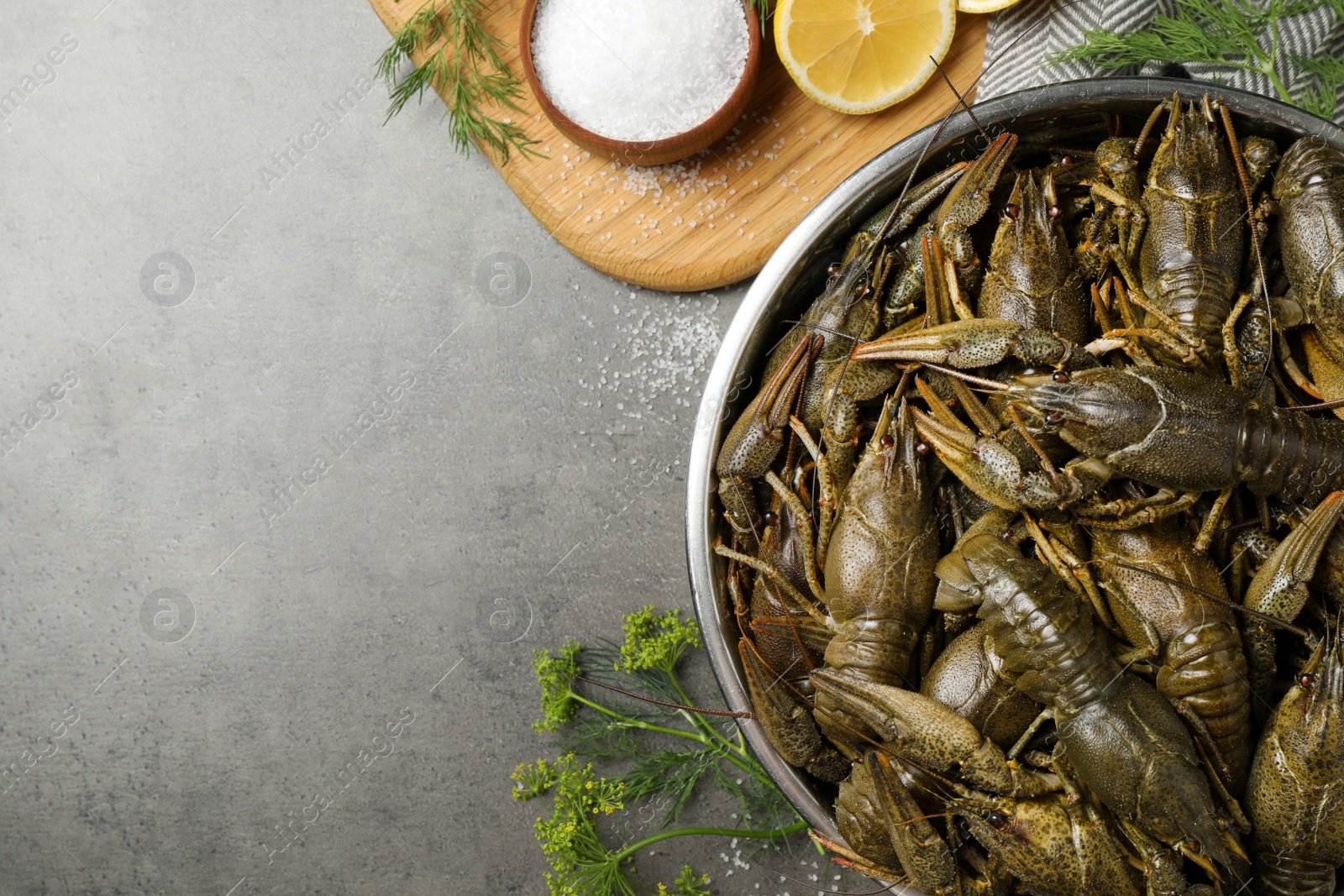 Photo of Fresh raw crayfishes, dill and lemon on grey table, flat lay. Space for text