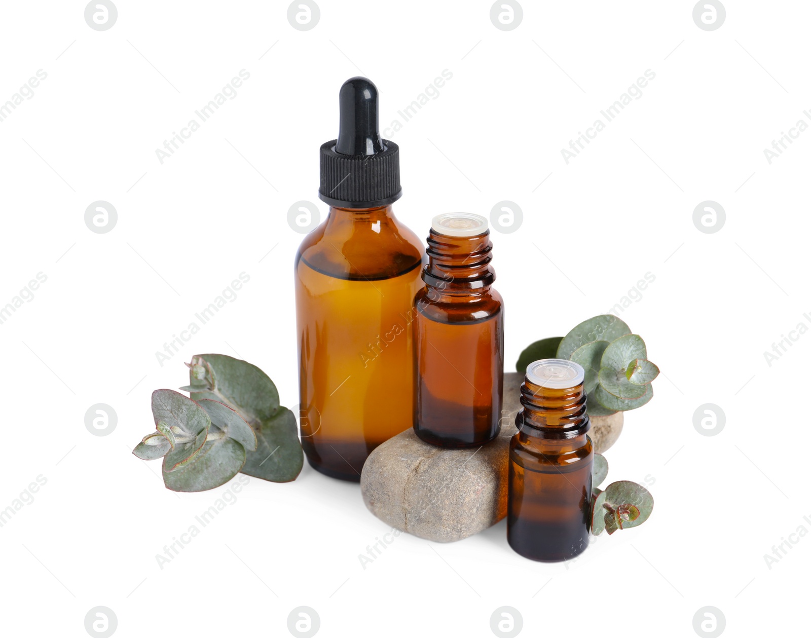 Photo of Bottles of eucalyptus essential oil, stone and plant branches on white background