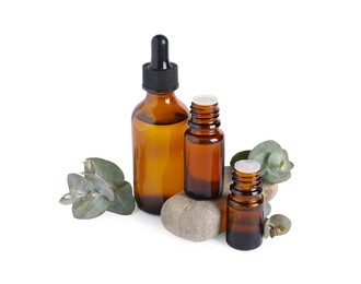 Photo of Bottles of eucalyptus essential oil, stone and plant branches on white background