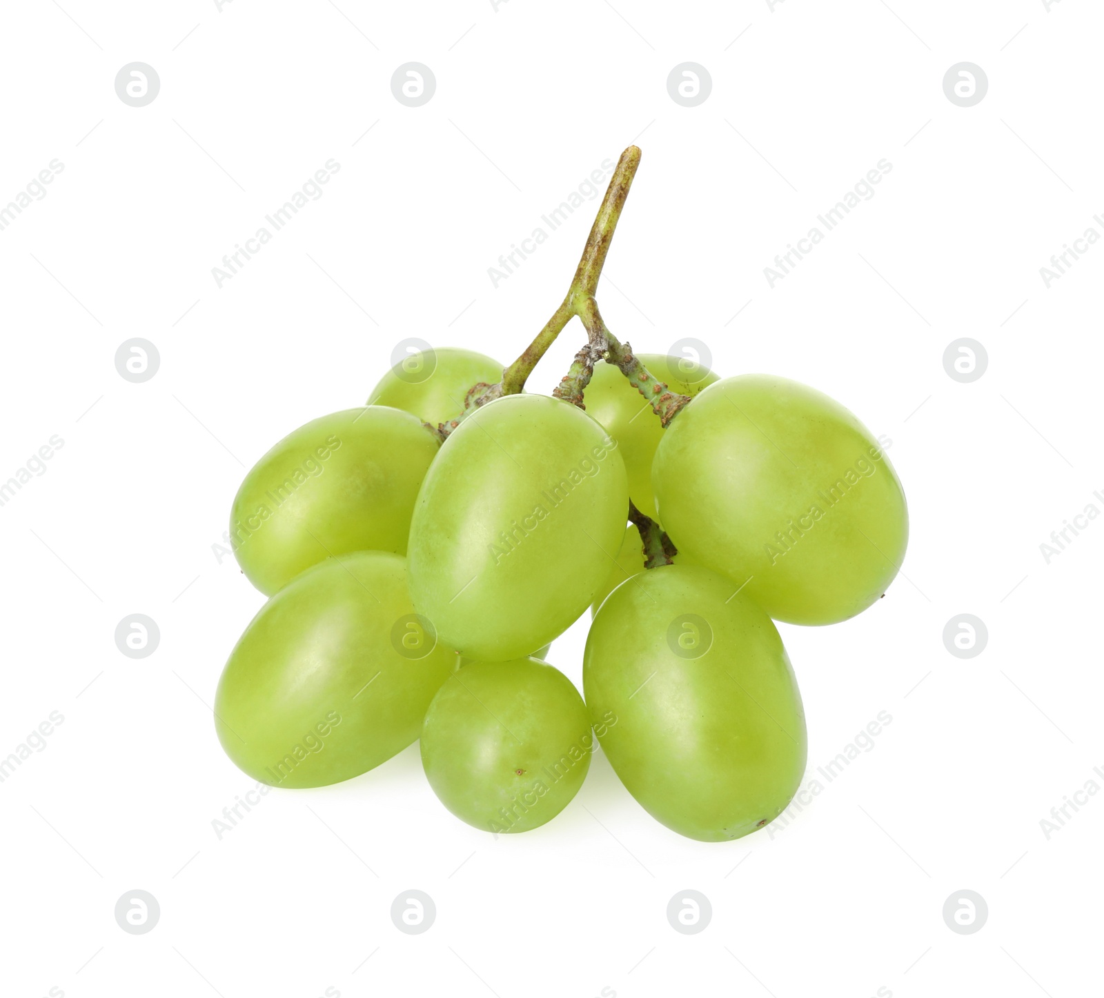 Photo of Fresh ripe juicy grapes isolated on white