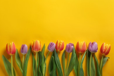 Many beautiful tulips on yellow background, flat lay. Space for text