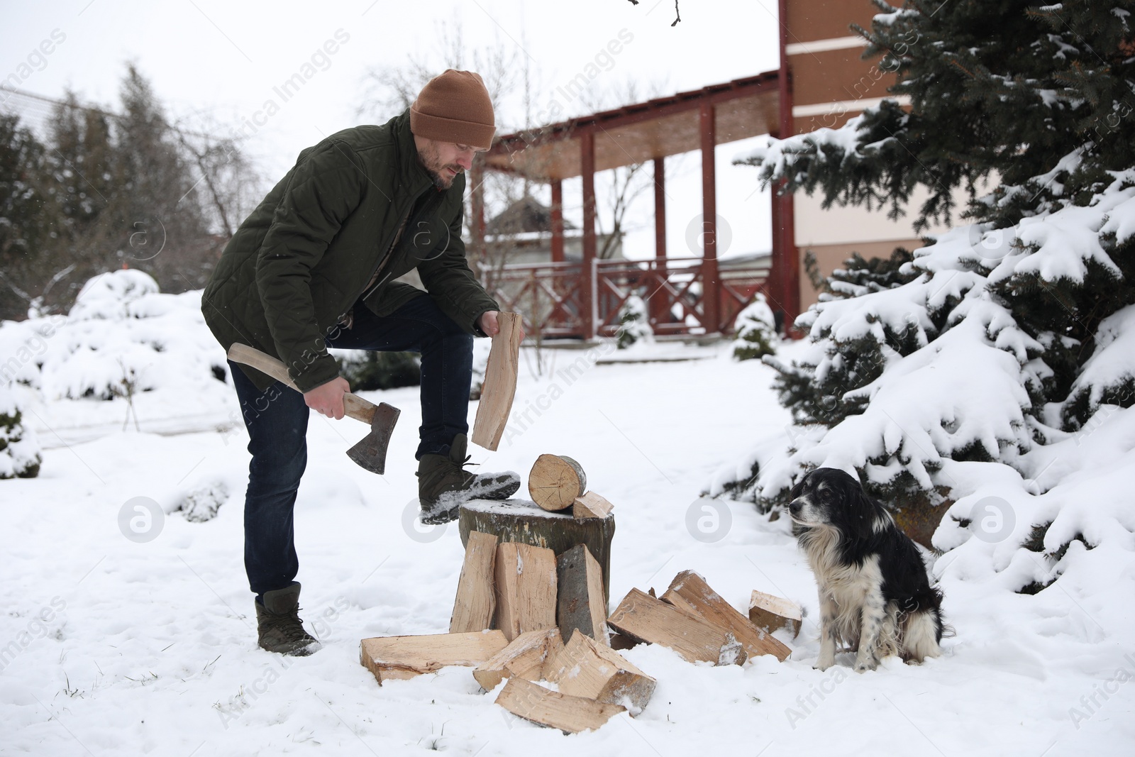 Photo of Man chopping wood with axe next to cute dog outdoors on winter day