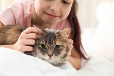 Cute little girl with cat lying on bed at home, closeup. First pet