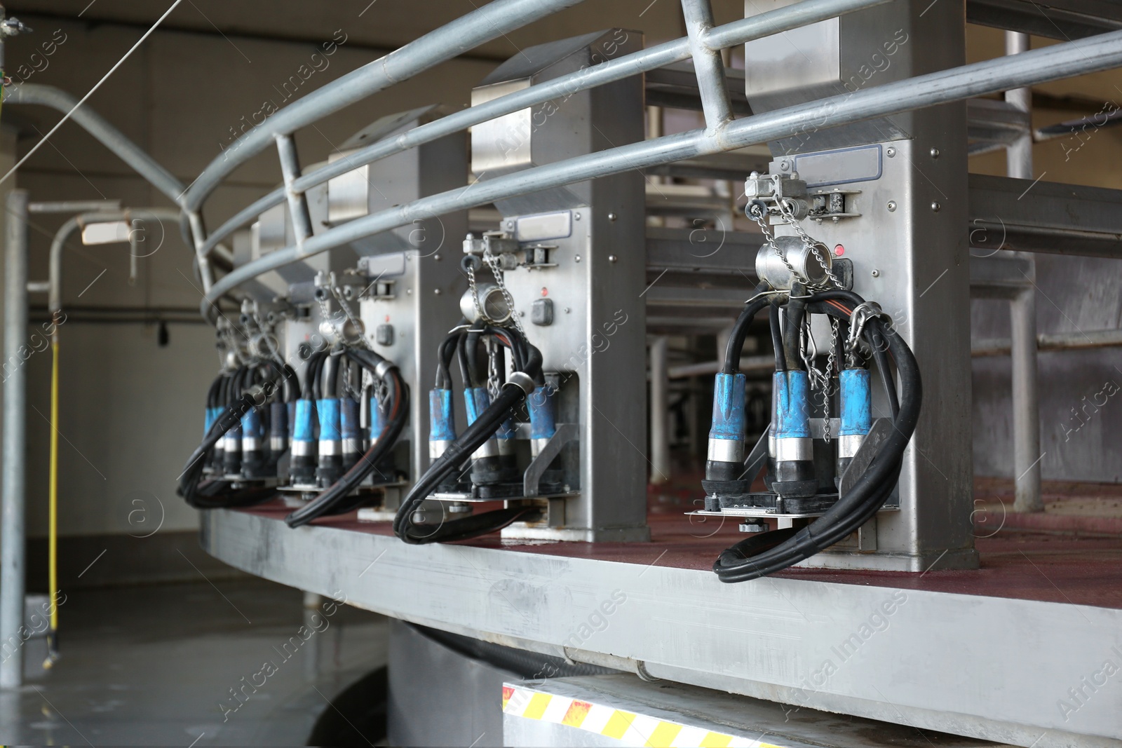 Photo of Automatic milking systems in parlor. Modern dairy farm