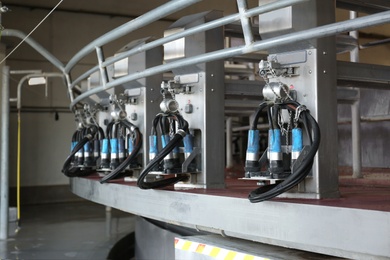 Photo of Automatic milking systems in parlor. Modern dairy farm