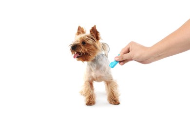 Photo of Man with toothbrush near dog on white background, closeup