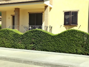 Photo of Residential building with beautiful green hedge on sunny day