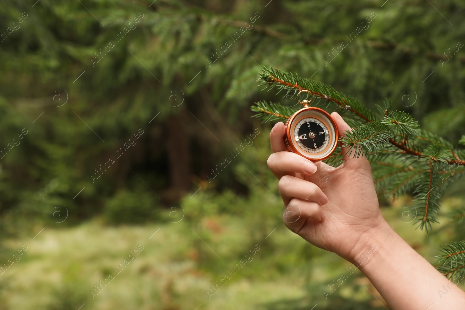 Photo of Woman checking modern compass in wilderness, closeup with space for text