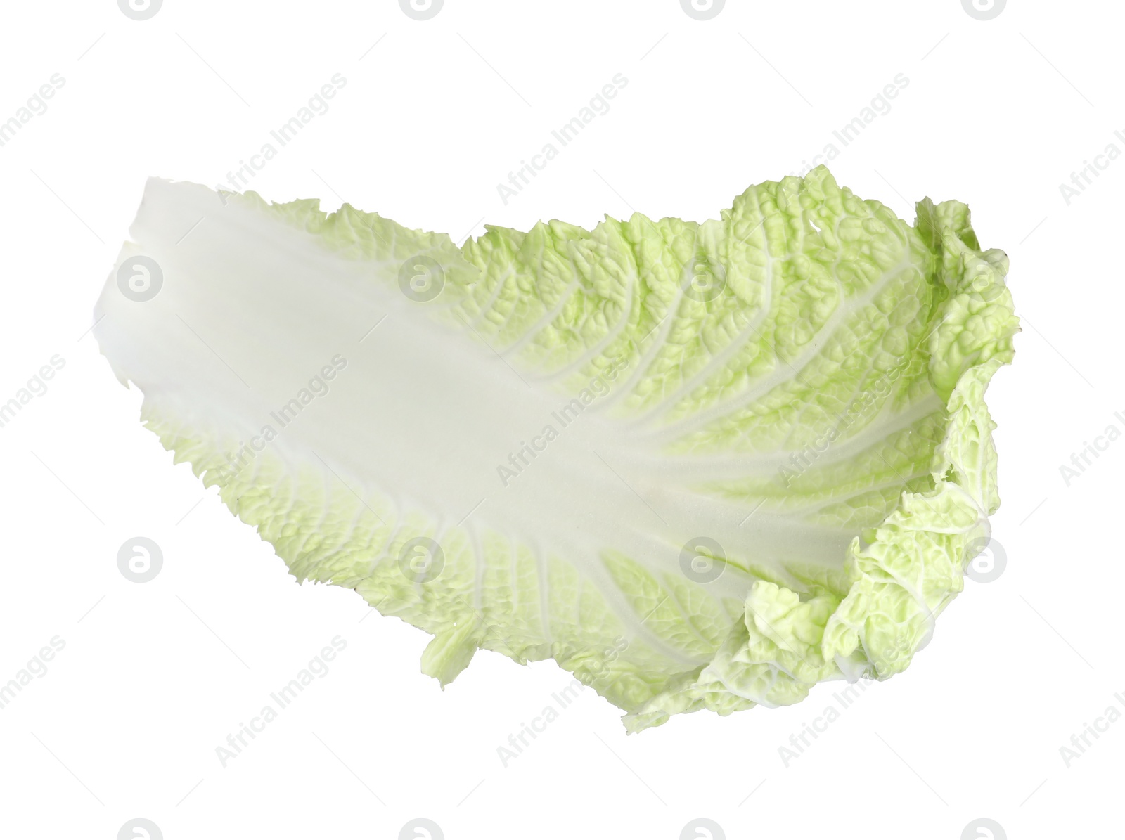 Photo of Leaf of napa cabbage isolated on white