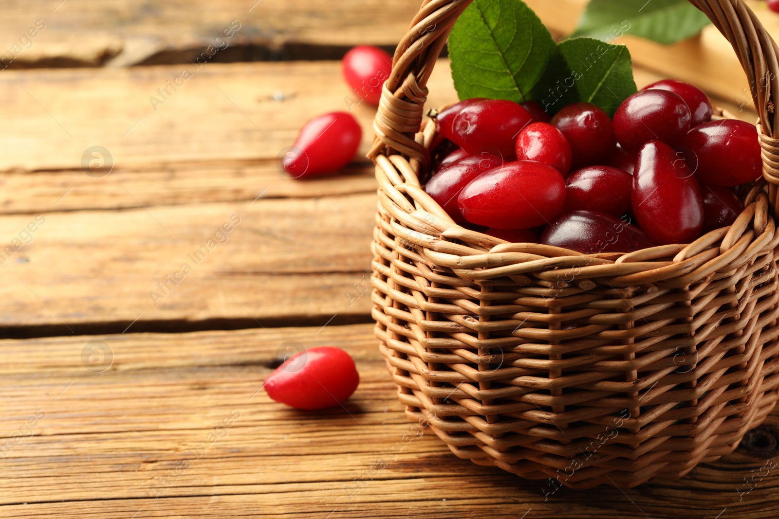 Photo of Fresh ripe dogwood berries with green leaves in wicker basket on wooden table, closeup. Space for text