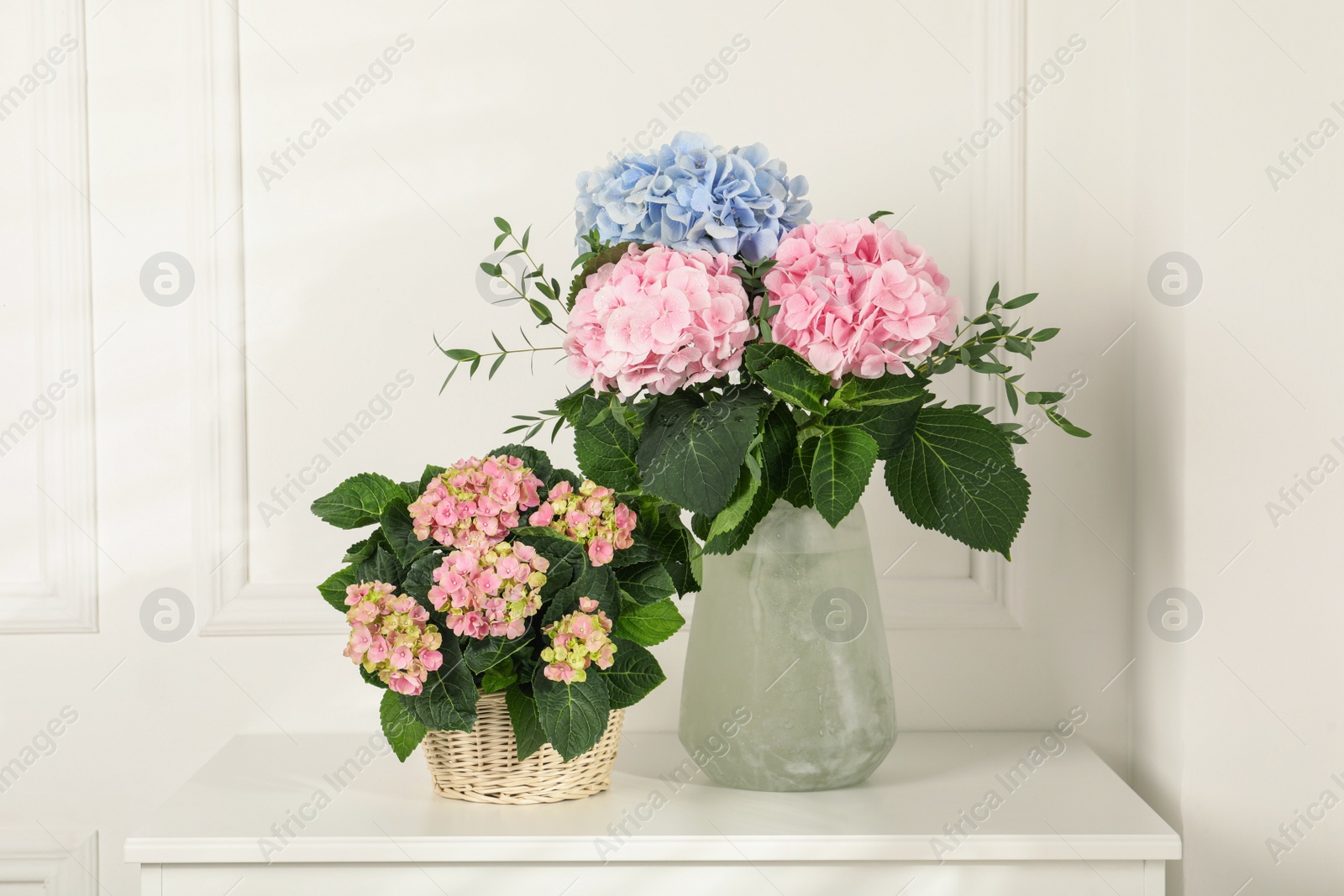 Photo of Beautiful hortensia flowers on table near white wall