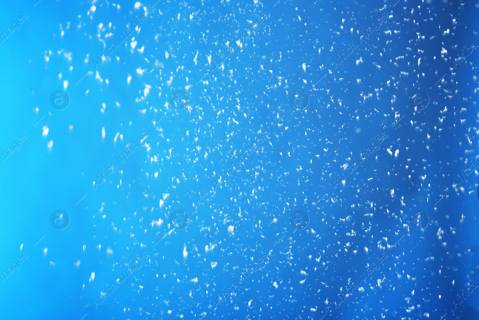 Photo of Snow flakes falling on blue background. Winter weather