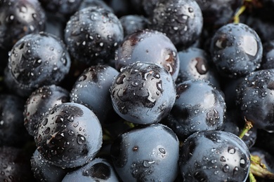 Fresh ripe juicy black grapes as background, closeup view