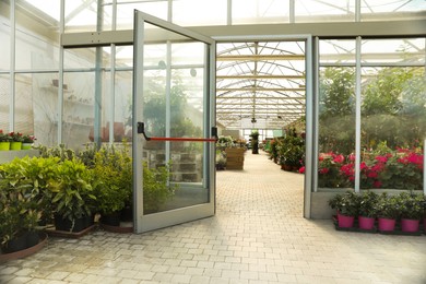 Photo of Garden center with many different potted plants, view from outside